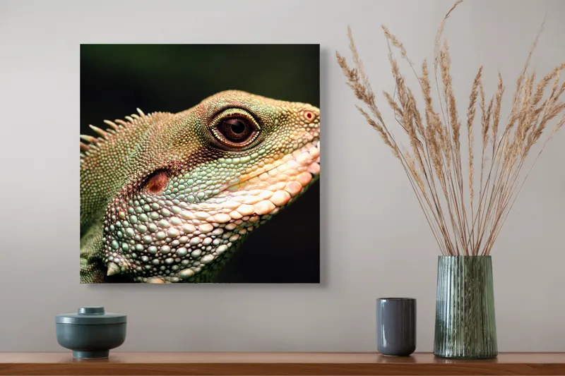 Tablou Canvas, "Lumea misterioasă a reptilelor verzi", Șopârlă, Textură, Solzisori, Verde, Țepi, Privire, Natură, Reptilă, 50 x 50 cm – poza 4