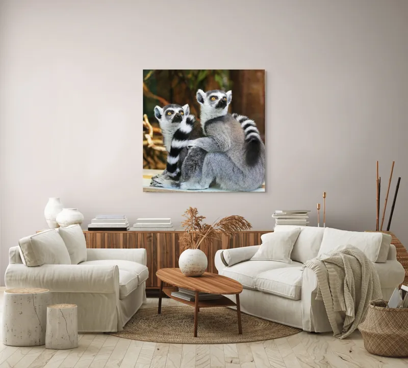 Tablou Canvas, "Lemuri cu priviri curioase în pădure", 100 x 100 cm – poza 3