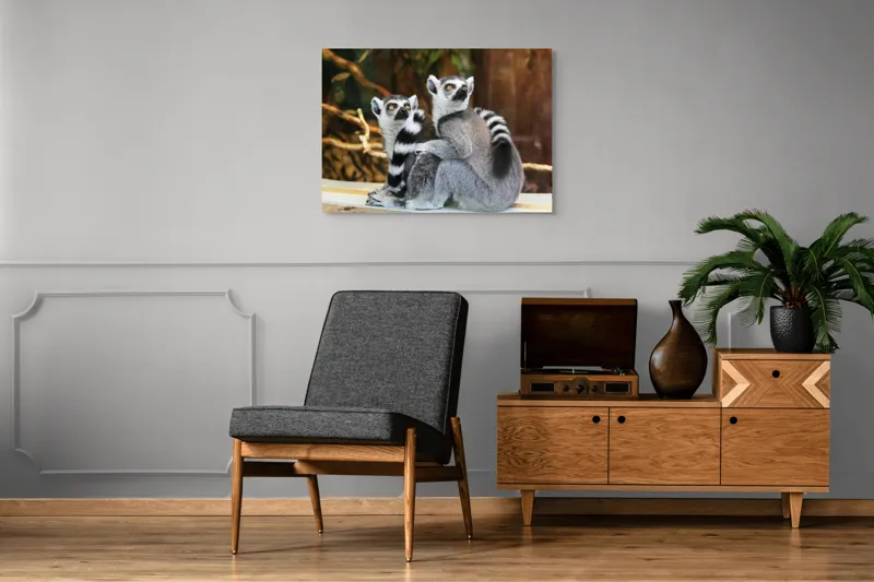 Tablou Canvas, "Lemuri cu priviri curioase în pădure", 100 x 70 cm – poza 8