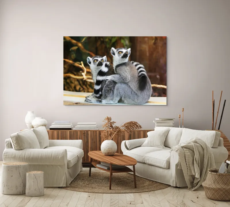 Tablou Canvas, "Lemuri cu priviri curioase în pădure", 150 x 100 cm – poza 3