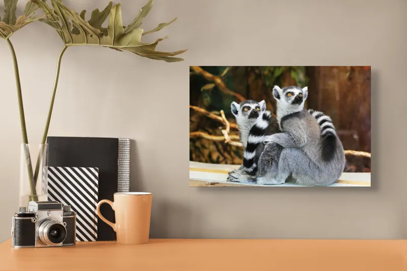 Tablou Canvas, "Lemuri cu priviri curioase în pădure", 39 x 26 cm – poza 3