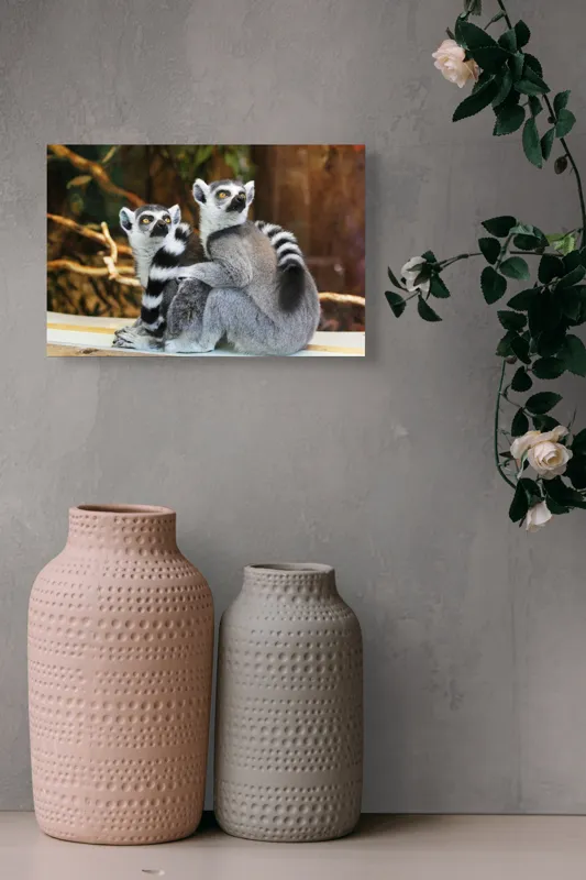 Tablou Canvas, "Lemuri cu priviri curioase în pădure", 39 x 26 cm – poza 4