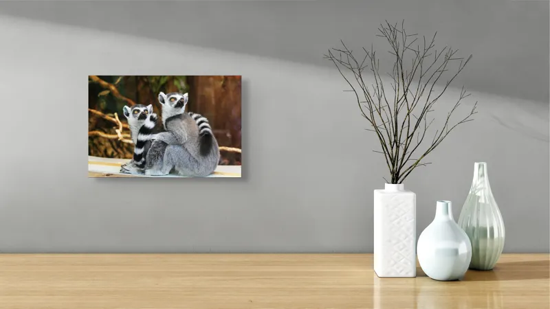 Tablou Canvas, "Lemuri cu priviri curioase în pădure", 39 x 26 cm – poza 8