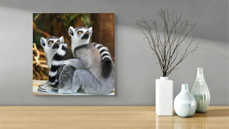 Tablou Canvas, "Lemuri cu priviri curioase în pădure", 50 x 50 cm – poza 3