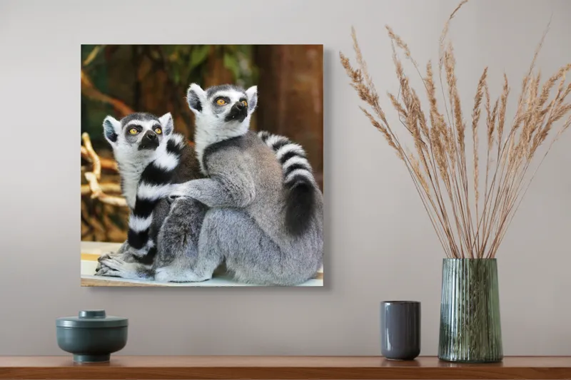 Tablou Canvas, "Lemuri cu priviri curioase în pădure", 50 x 50 cm – poza 4