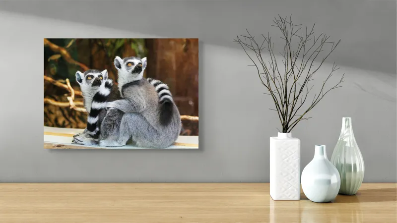 Tablou Canvas, "Lemuri cu priviri curioase în pădure", 54 x 39 cm – poza 3