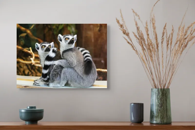 Tablou Canvas, "Lemuri cu priviri curioase în pădure", 54 x 39 cm – poza 4