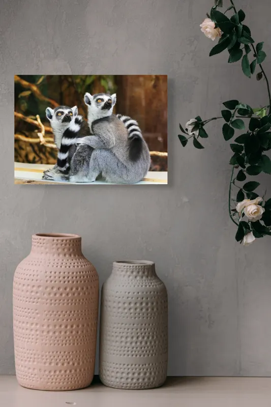 Tablou Canvas, "Lemuri cu priviri curioase în pădure", 54 x 39 cm – poza 8