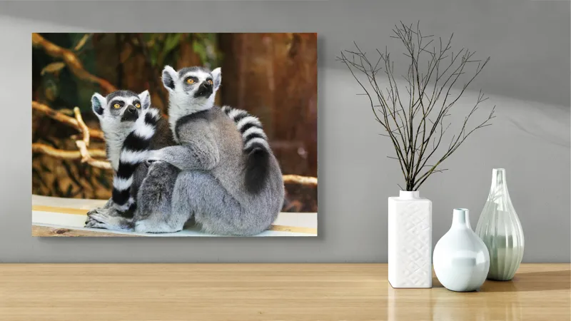 Tablou Canvas, "Lemuri cu priviri curioase în pădure", 70 x 50 cm – poza 3