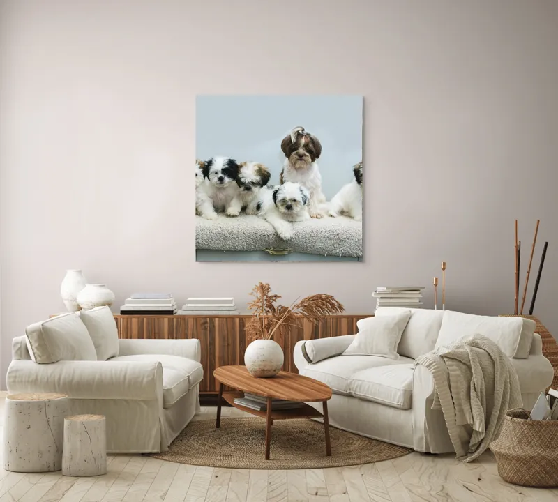 Tablou Canvas, "Cinci cățeluși adorabili pe covor alb", 100 x 100 cm – poza 3