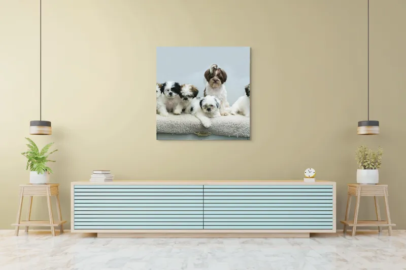 Tablou Canvas, "Cinci cățeluși adorabili pe covor alb", 100 x 100 cm – poza 5