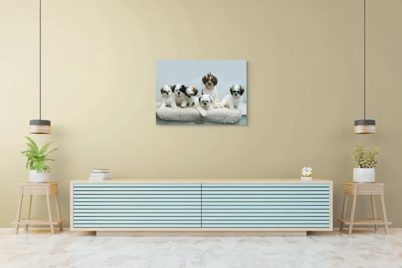 Tablou Canvas, "Cinci cățeluși adorabili pe covor alb", 100 x 70 cm – poza 4