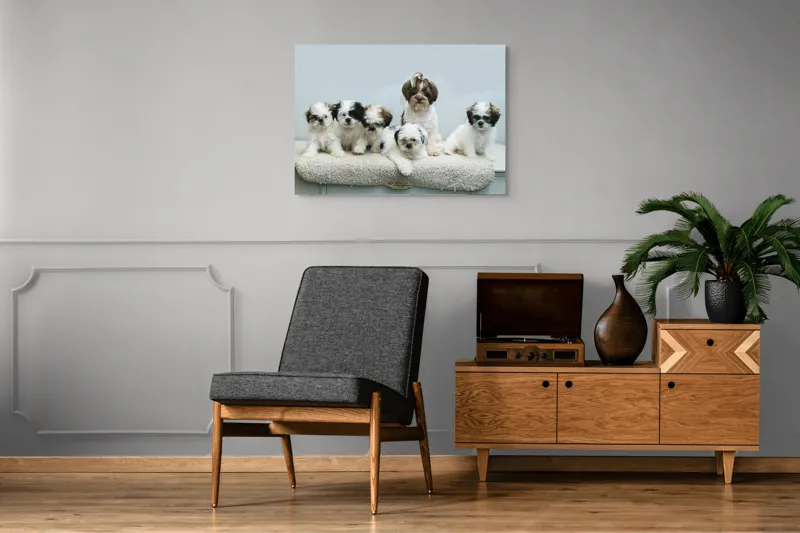 Tablou Canvas, "Cinci cățeluși adorabili pe covor alb", 100 x 70 cm – poza 8