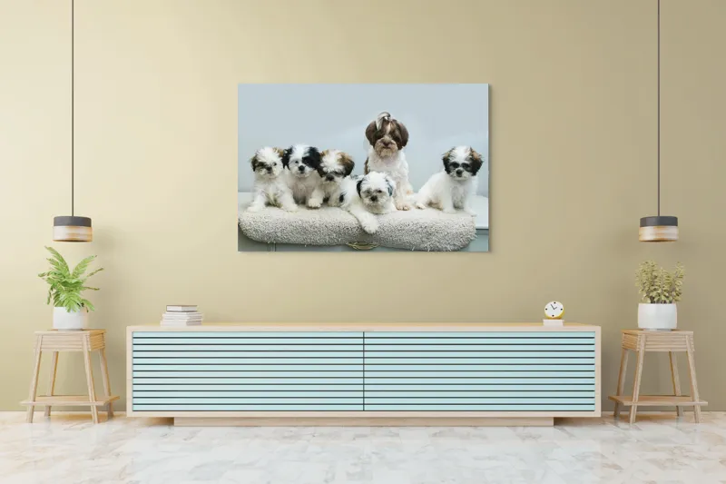 Tablou Canvas, "Cinci cățeluși adorabili pe covor alb", 150 x 100 cm – poza 6