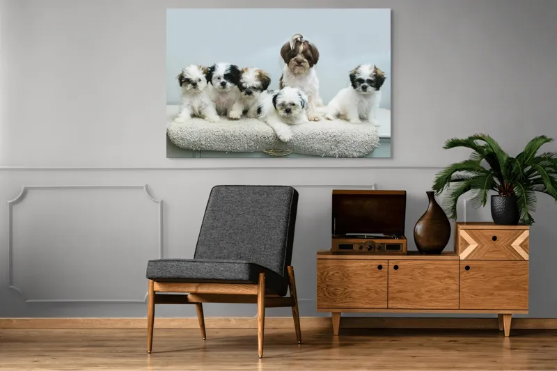 Tablou Canvas, "Cinci cățeluși adorabili pe covor alb", 150 x 100 cm – poza 8