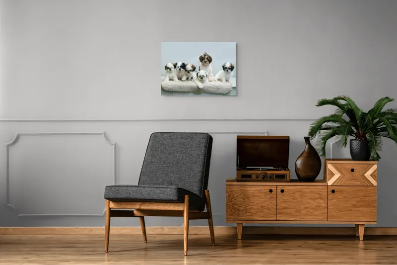Tablou Canvas, "Cinci cățeluși adorabili pe covor alb", 70 x 50 cm – poza 4