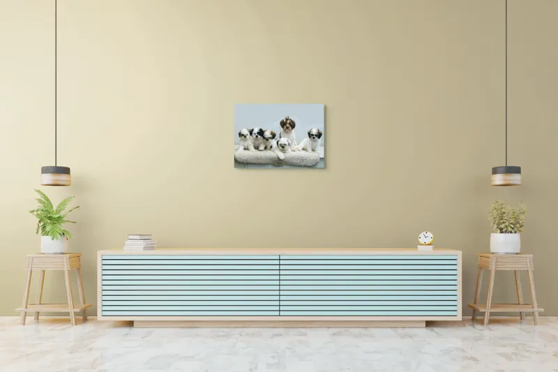 Tablou Canvas, "Cinci cățeluși adorabili pe covor alb", 70 x 50 cm – poza 7