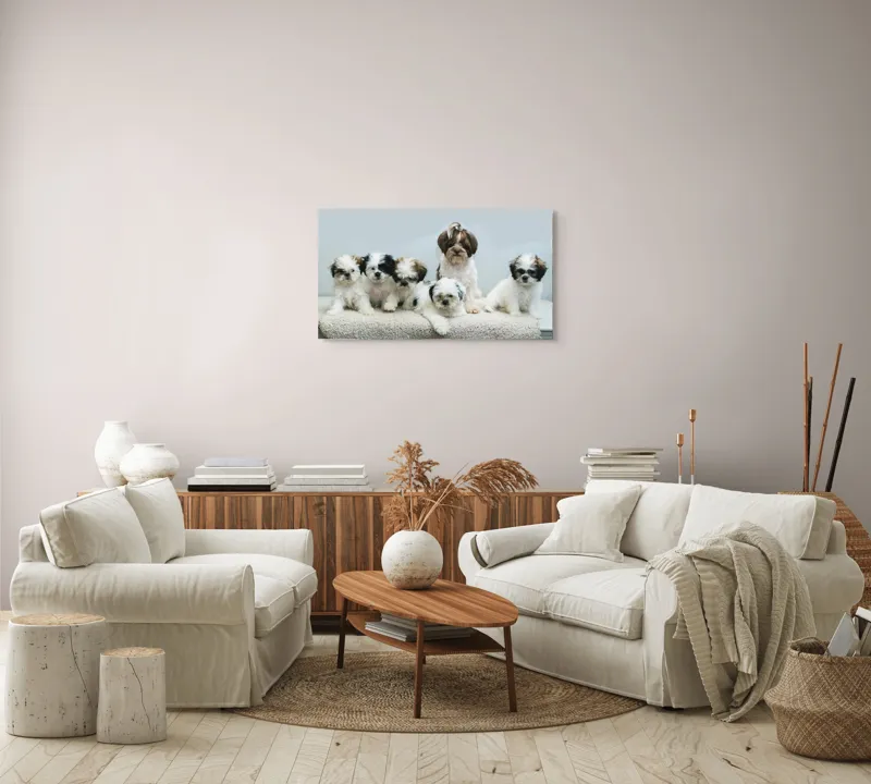 Tablou Canvas, "Cinci cățeluși adorabili pe covor alb", Nu pot identifica persoanele din imagine., 90 x 50 cm – poza 4