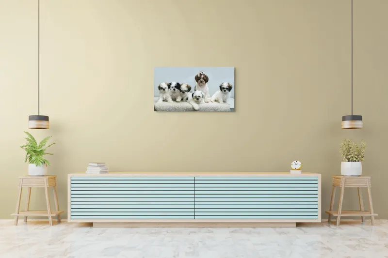Tablou Canvas, "Cinci cățeluși adorabili pe covor alb", Nu pot identifica persoanele din imagine., 90 x 50 cm – poza 5