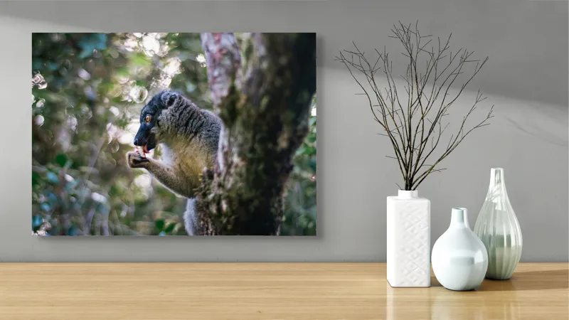 Tablou Canvas, "Nu știu cine este în imagine.", Nu pot identifica specia exactă, dar în imagine este un animal în peisaj natural., 70 x 50 cm – poza 3