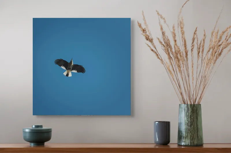 Tablou Canvas, "Pasăre zburând în cer albastru", Pasăre, Zbor, Cer, Albastru, Aripi, Lumina, Libertate, 50 x 50 cm – poza 4