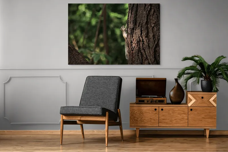 Tablou Canvas, "Veverița jucăușă pe trunchiul copacului", Veveriță, Copac, Natură, Ascensiune, Pădure, Trunchi, Verdeață, Curiozitate, 150 x 100 cm – poza 8