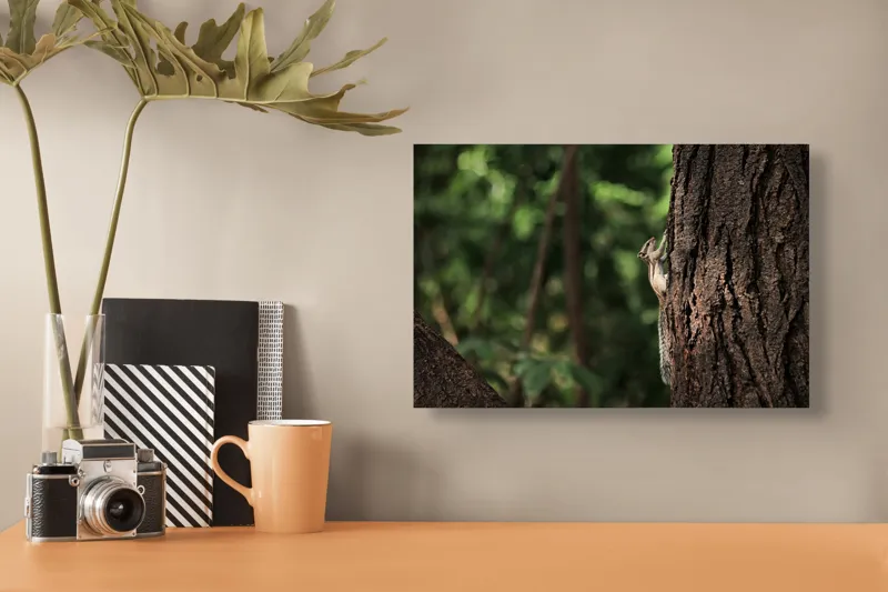 Tablou Canvas, "Veverița jucăușă pe trunchiul copacului", Veveriță, Copac, Natură, Ascensiune, Pădure, Trunchi, Verdeață, Curiozitate, 39 x 26 cm – poza 3