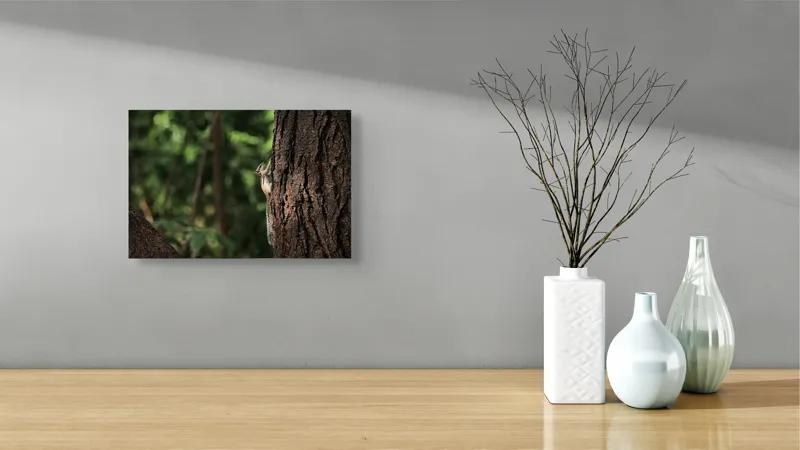 Tablou Canvas, "Veverița jucăușă pe trunchiul copacului", Veveriță, Copac, Natură, Ascensiune, Pădure, Trunchi, Verdeață, Curiozitate, 39 x 26 cm – poza 8