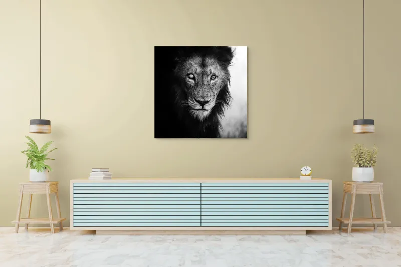 Tablou Canvas, "Regele întunecat al savanei africane", Leu, Regalitate, Forță, Întunecat, Privire, Mister, Noblețe, Putere, 100 x 100 cm – poza 5