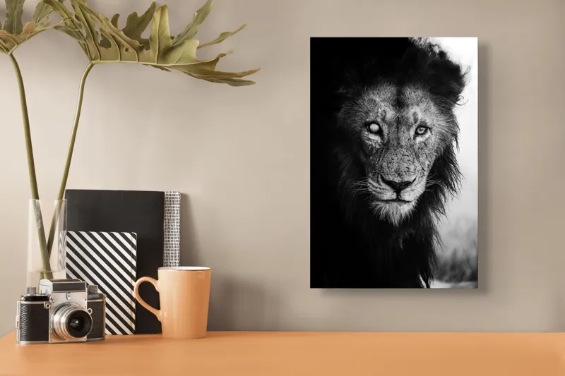 Tablou Canvas, "Regele întunecat al savanei africane", Leu, Regalitate, Forță, Întunecat, Privire, Mister, Noblețe, Putere, 26 x 39 cm – poza 3