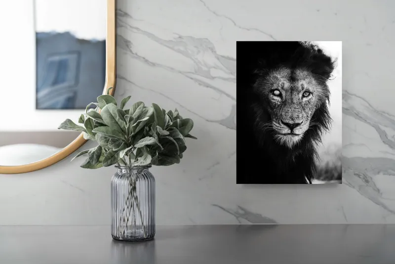 Tablou Canvas, "Regele întunecat al savanei africane", Leu, Regalitate, Forță, Întunecat, Privire, Mister, Noblețe, Putere, 26 x 39 cm – poza 4