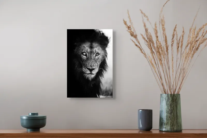 Tablou Canvas, "Regele întunecat al savanei africane", Leu, Regalitate, Forță, Întunecat, Privire, Mister, Noblețe, Putere, 26 x 39 cm – poza 5