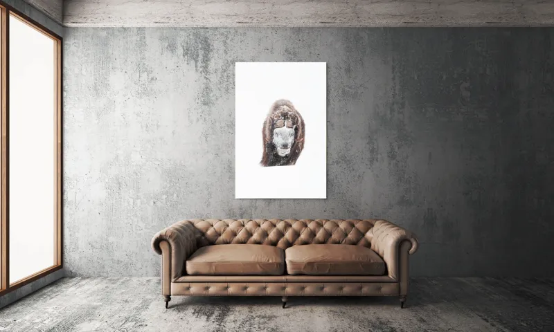 Tablou Canvas, "Bizamul în zăpada înghețată polară", 100 x 150 cm – poza 6