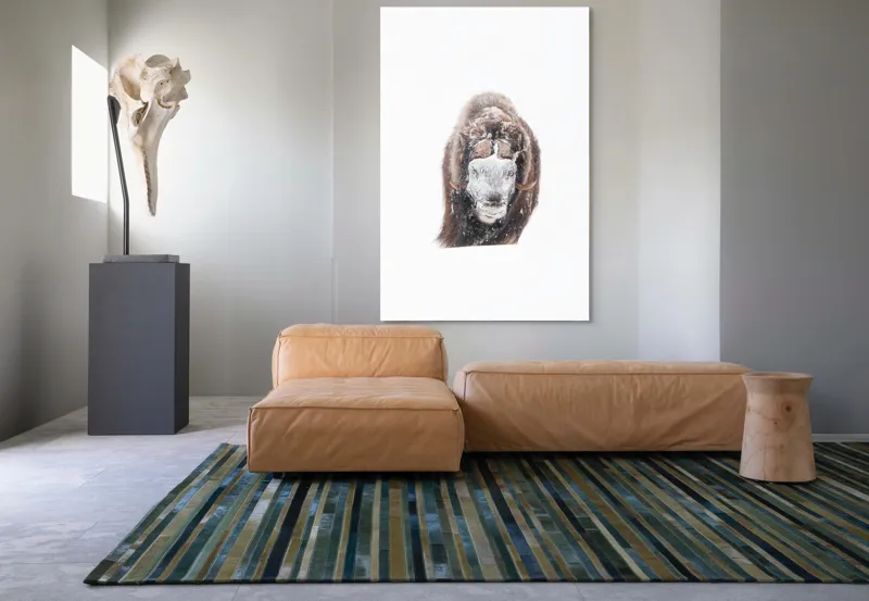 Tablou Canvas, "Bizamul în zăpada înghețată polară", 100 x 150 cm – poza 7
