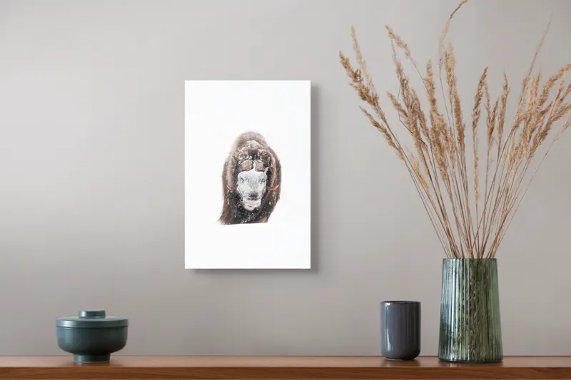 Tablou Canvas, "Bizamul în zăpada înghețată polară", Nu pot identifica persoana sau ființa din imagine., 26 x 39 cm – poza 5