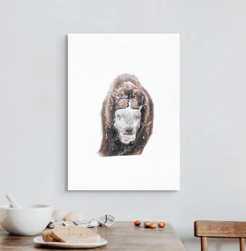 Tablou Canvas, "Bizamul în zăpada înghețată polară", 50 x 70 cm – poza 3