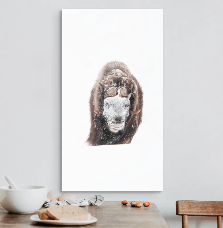 Tablou Canvas, "Bizamul în zăpada înghețată polară", 50 x 90 cm – poza 3