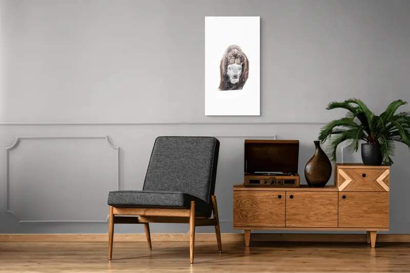 Tablou Canvas, "Bizamul în zăpada înghețată polară", 50 x 90 cm – poza 8