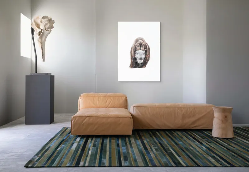 Tablou Canvas, "Bizamul în zăpada înghețată polară", 70 x 100 cm – poza 7