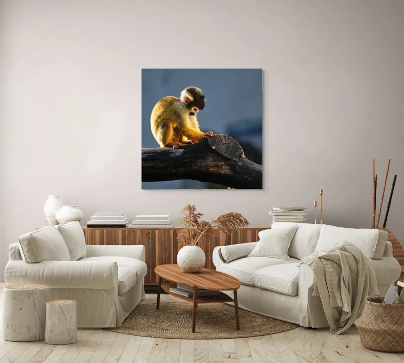 Tablou Canvas, "Maimuța visătoare pe ramură bătrână", 100 x 100 cm – poza 3
