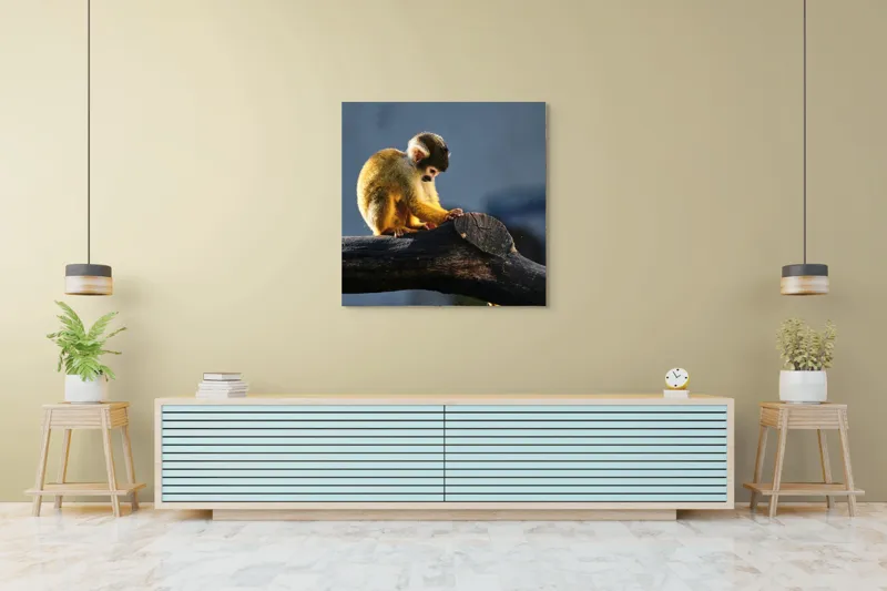 Tablou Canvas, "Maimuța visătoare pe ramură bătrână", 100 x 100 cm – poza 5