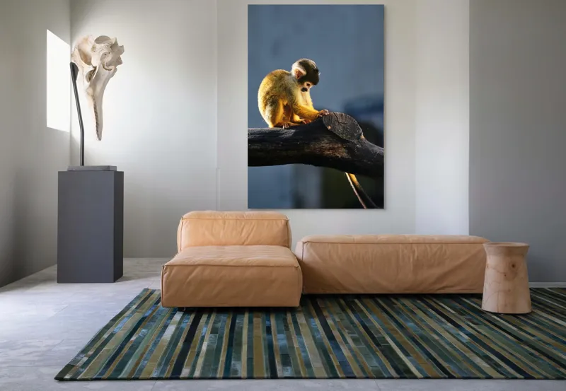 Tablou Canvas, "Maimuța visătoare pe ramură bătrână", 100 x 150 cm – poza 7