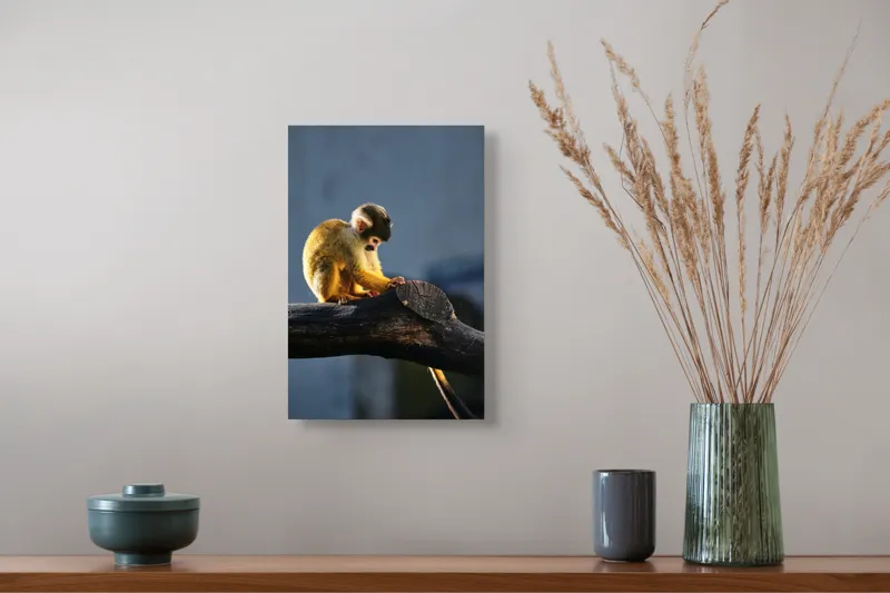 Tablou Canvas, "Maimuța visătoare pe ramură bătrână", 26 x 39 cm – poza 5