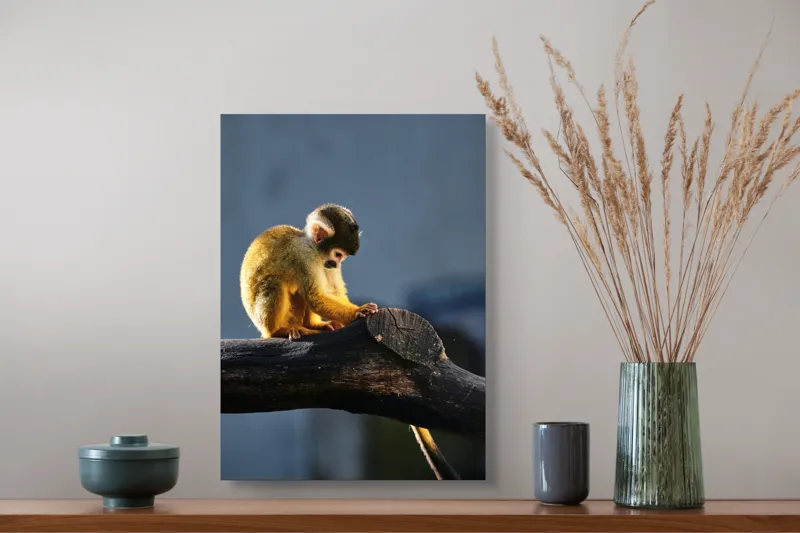 Tablou Canvas, "Maimuța visătoare pe ramură bătrână", 39 x 54 cm – poza 3