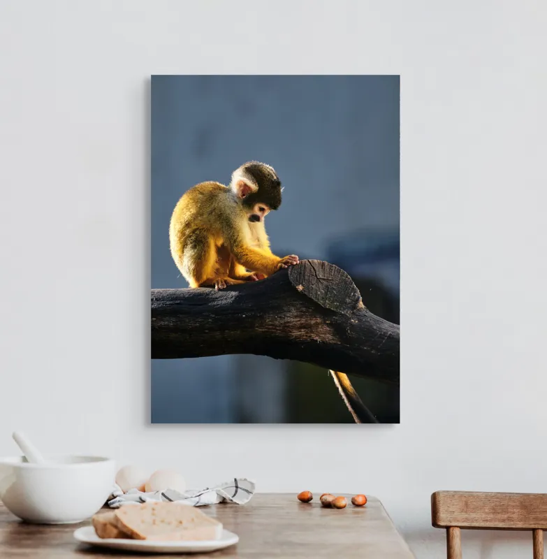 Tablou Canvas, "Maimuța visătoare pe ramură bătrână", 50 x 70 cm – poza 3