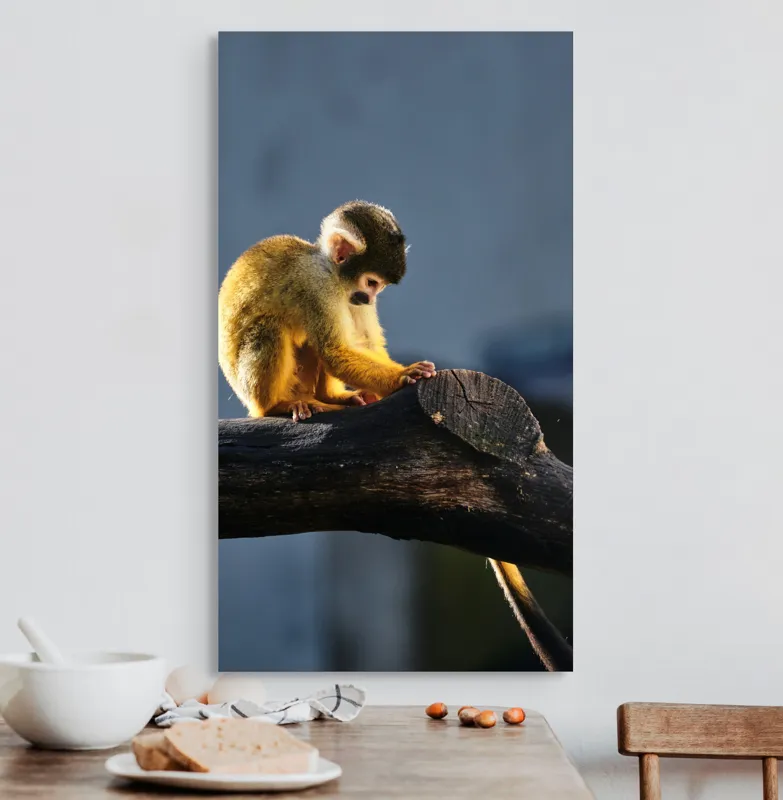 Tablou Canvas, "Maimuța visătoare pe ramură bătrână", Nu pot confirma cine este în imagine, dar pot spune că este o maimuță veveriță pe o creangă., 50 x 90 cm – poza 3