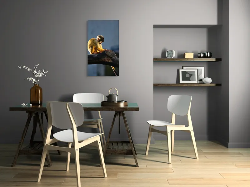 Tablou Canvas, "Maimuța visătoare pe ramură bătrână", Nu pot confirma cine este în imagine, dar pot spune că este o maimuță veveriță pe o creangă., 50 x 90 cm – poza 4