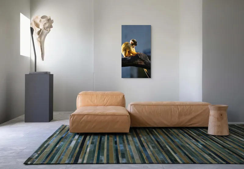 Tablou Canvas, "Maimuța visătoare pe ramură bătrână", Nu pot confirma cine este în imagine, dar pot spune că este o maimuță veveriță pe o creangă., 50 x 90 cm – poza 5