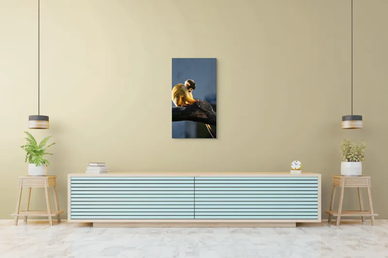 Tablou Canvas, "Maimuța visătoare pe ramură bătrână", Nu pot confirma cine este în imagine, dar pot spune că este o maimuță veveriță pe o creangă., 50 x 90 cm – poza 6