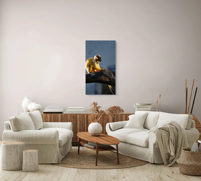 Tablou Canvas, "Maimuța visătoare pe ramură bătrână", Nu pot confirma cine este în imagine, dar pot spune că este o maimuță veveriță pe o creangă., 50 x 90 cm – poza 7